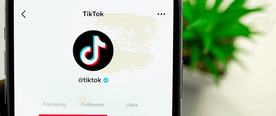 The Dangers of TikTok
