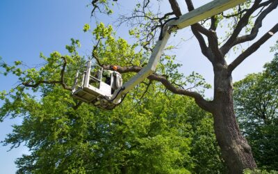 Secure Your Home For Storm Season